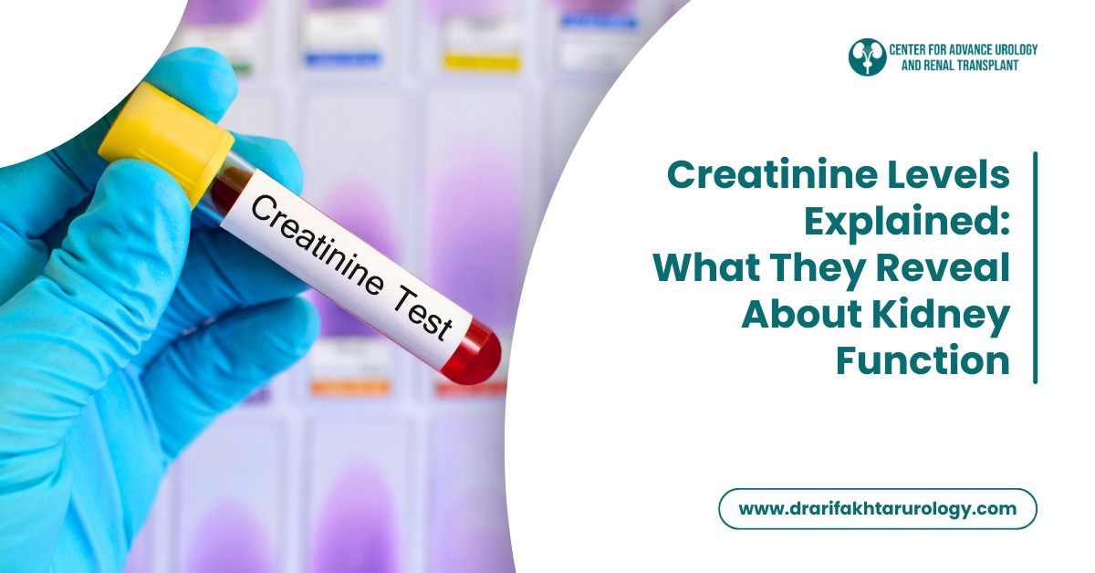 Creatinine Levels Explained: What They Reveal About Kidney Function