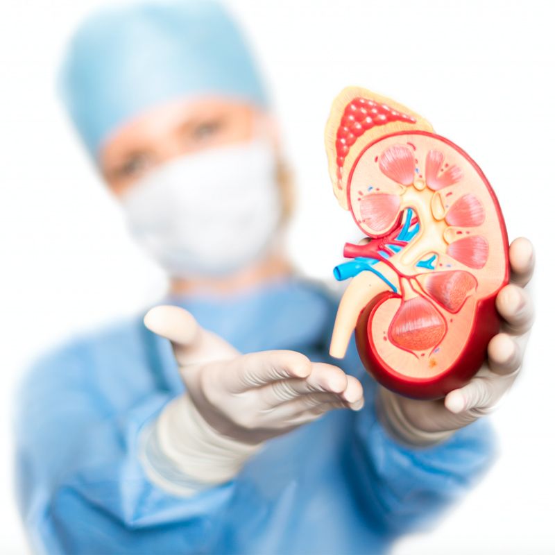 Kidney Transplant in Gurgaon