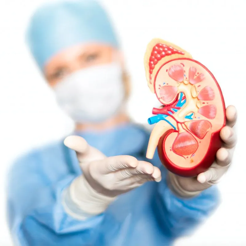 Kidney Transplant in Gurgaon