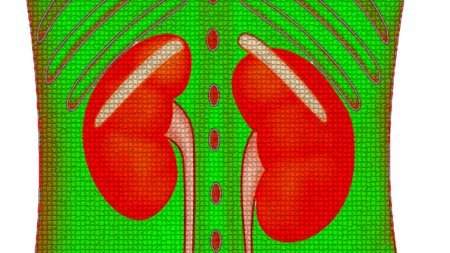 understanding urine retention