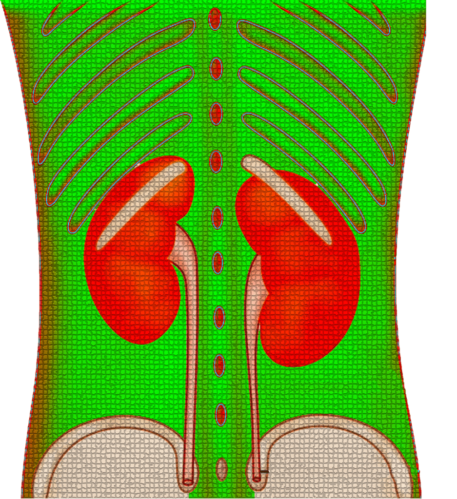 understanding urine retention