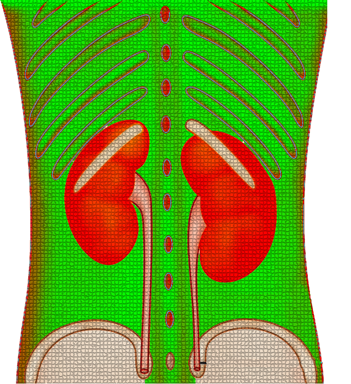 understanding urine retention