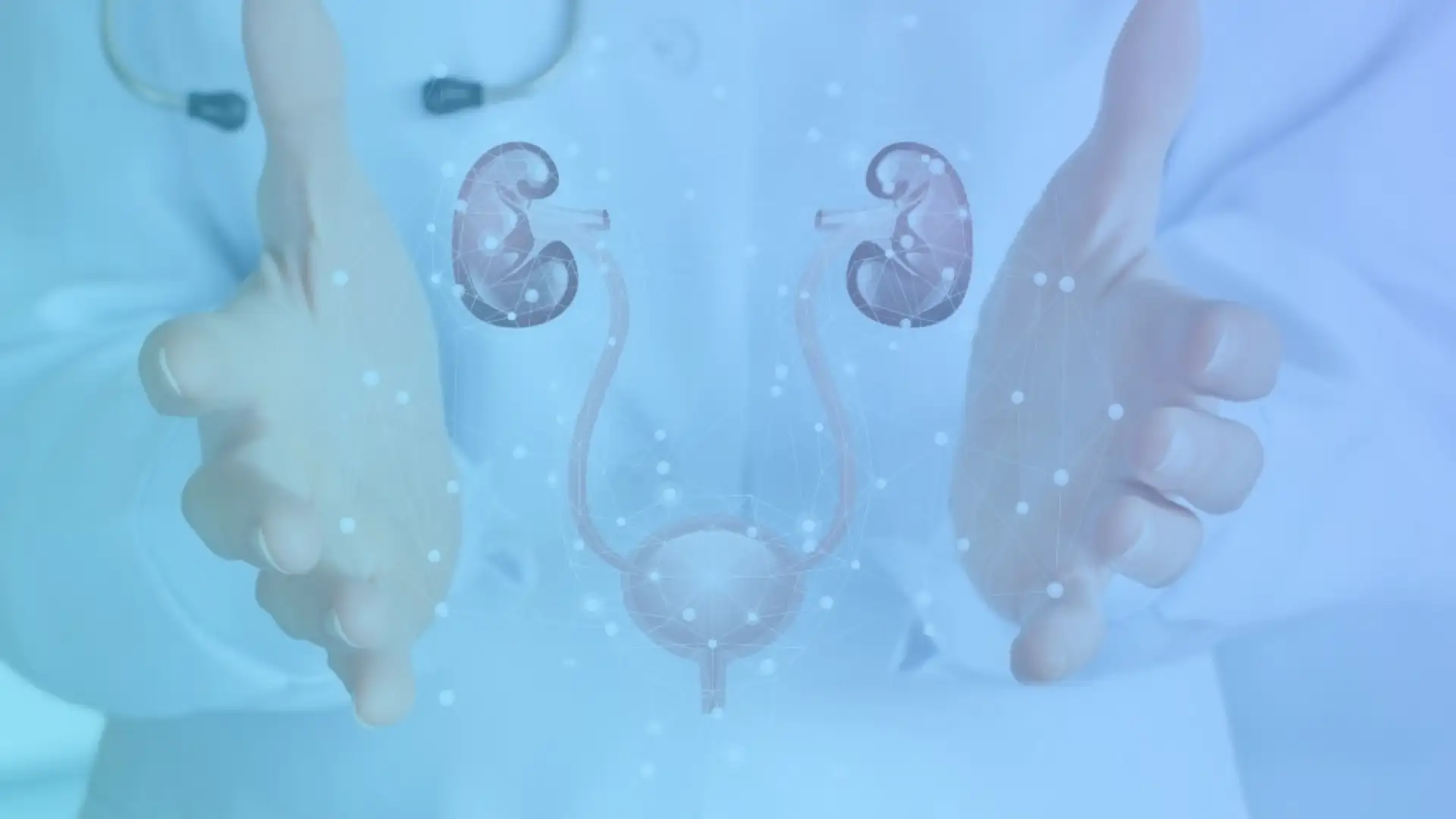 Kidney Stone Treatment Dr Arif Akhtar Expert Urologist in Gurgaon