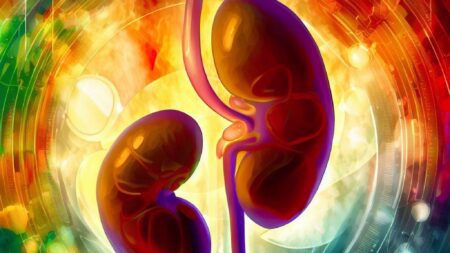Preventing Kidney Stones Recurrence: Diet, Hydration, and Medication