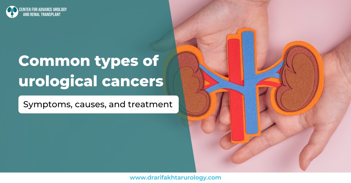 Common Types of Urological Cancers Symptoms, Causes, and Treatment