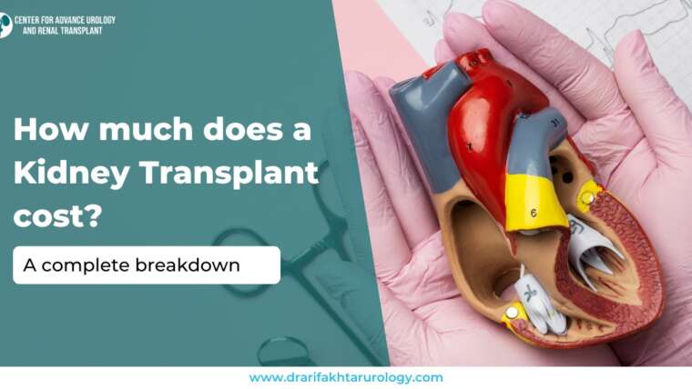 How Much Does a Kidney Transplant Cost? A Complete Breakdown