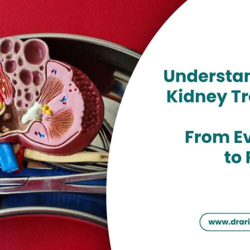 Understanding the Kidney Transplant Process From Evaluation to Recovery