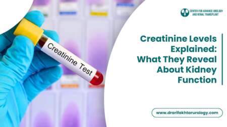 Creatinine Levels Explained What They Reveal About Kidney Function