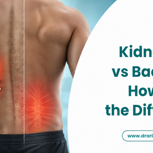 Kidney Pain vs Back Pain How to Tell the Difference